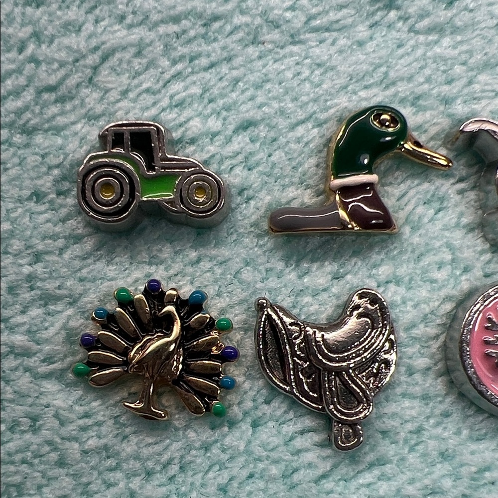 Floating Locket Charms - Picture 2 of 3